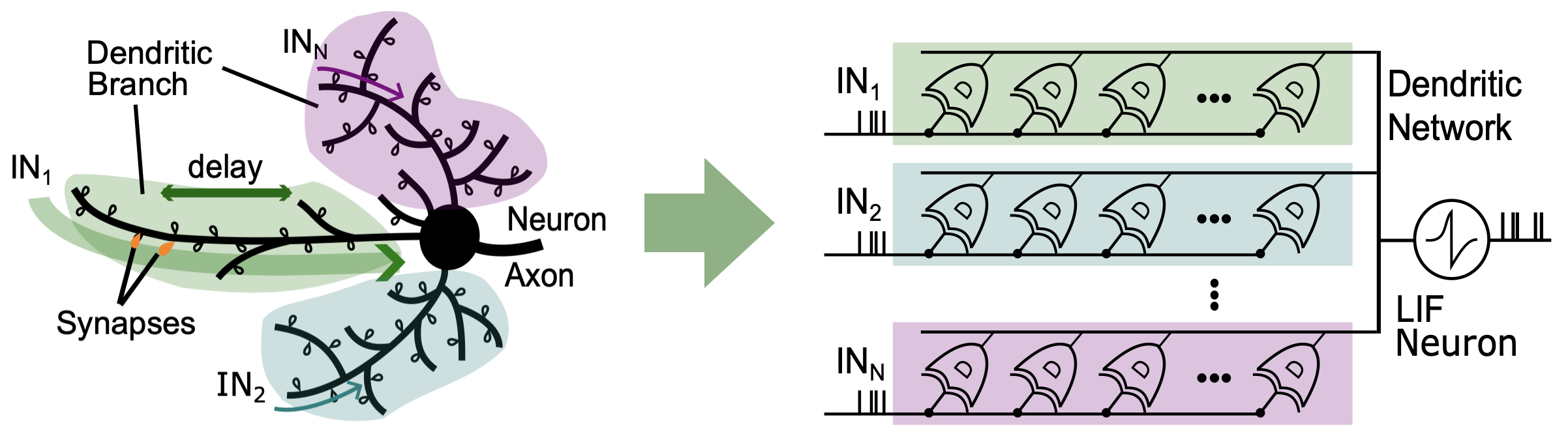 DenRAM - Dendritic architecture with delays