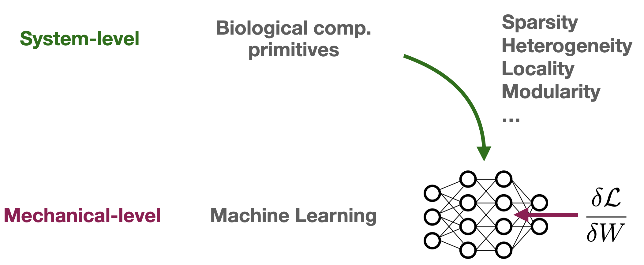 System-level of biological inspiration